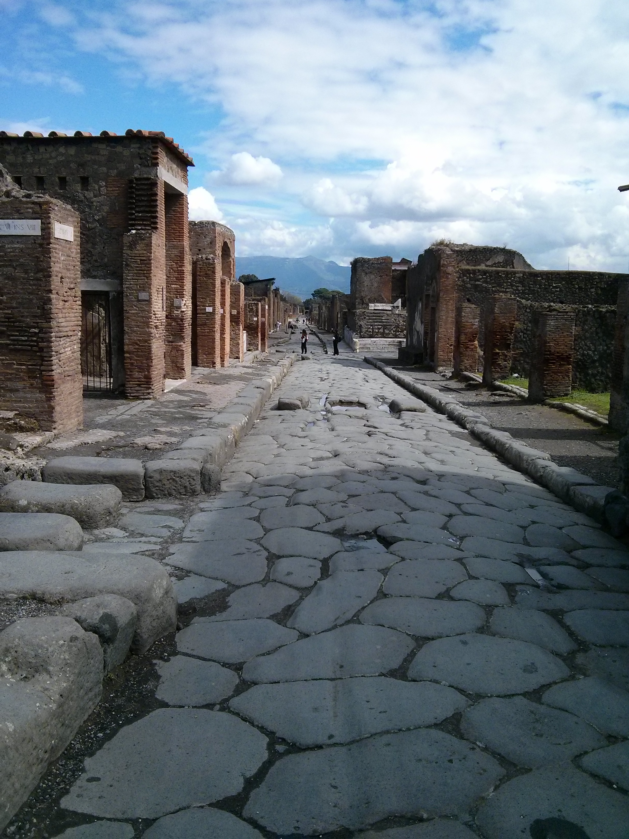 Pompeji (L. theileis).jpg